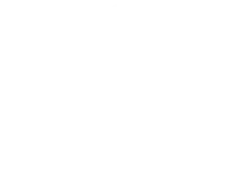 Deloitte Fast 500 White